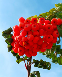 Similar image 21935785