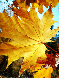 Similar image 21939393