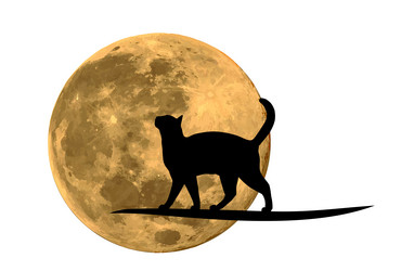 Similar image 21942400