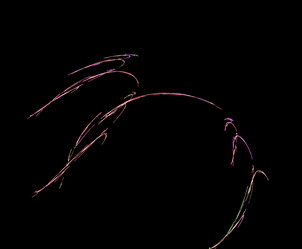 Similar image 21944860