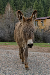 Similar image 21940139