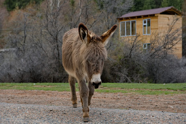 Similar image 21940140