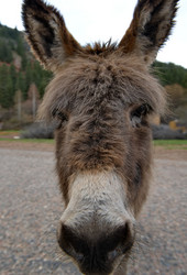 Similar image 21940141