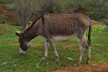 Similar image 21940142