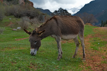 Similar image 21940143