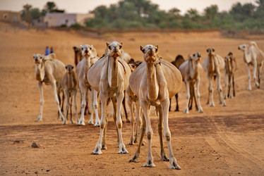 Similar image 21940144