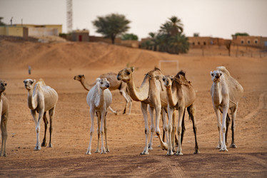 Similar image 21940145