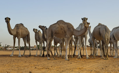 Similar image 21940147