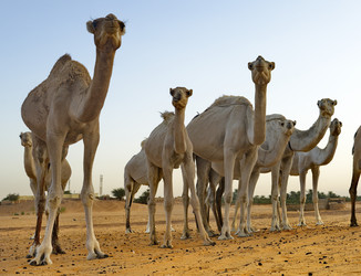 Similar image 21940148