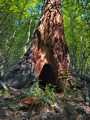 Similar image 21940150