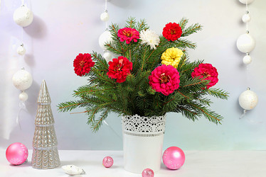 Similar image 21936699