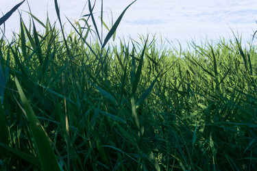 Similar image 21937268