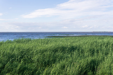 Similar image 21937271