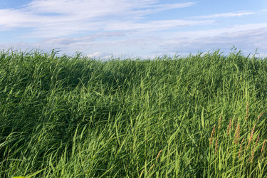 Similar image 21937272