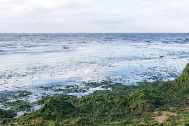 Similar image 21937273