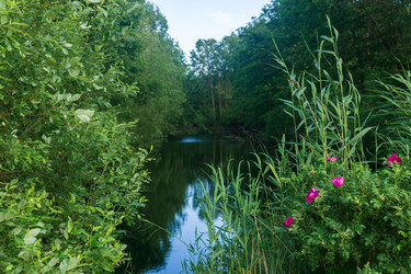 Similar image 21937274