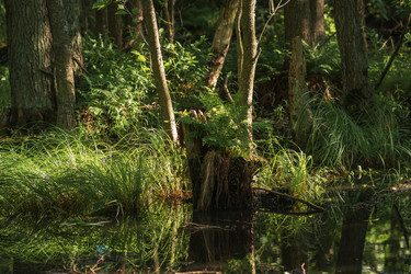 Similar image 21937287