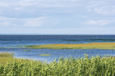 Similar image 21937288