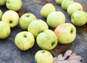 Similar image 21937298