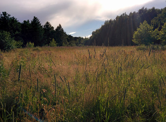 Similar image 21939395