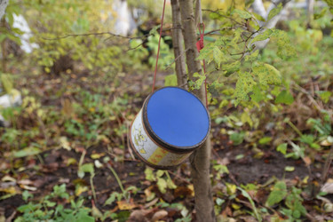 Similar image 21937066