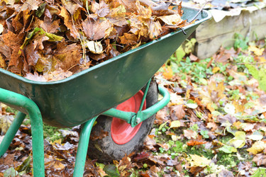 Similar image 21937071