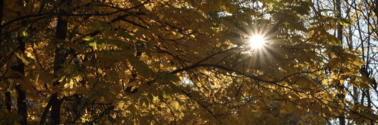 Similar image 21937072