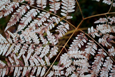 Similar image 21936200