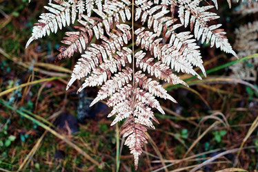 Similar image 21936201