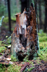 Similar image 21936202