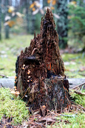 Similar image 21936203