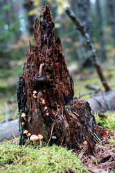 Similar image 21936204