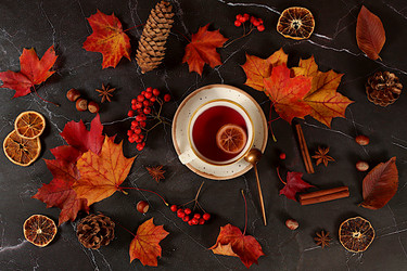 Similar image 21936706