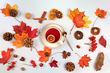 Similar image 21936707