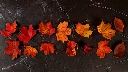 Similar image 21936710