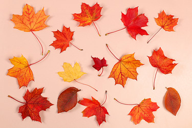 Similar image 21936712