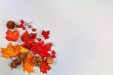 Similar image 21936715