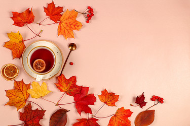 Similar image 21936718