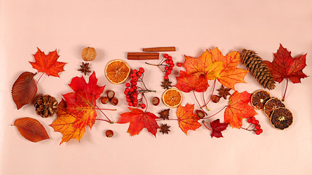 Similar image 21936719