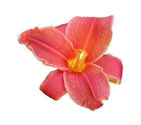 Similar image 21945673