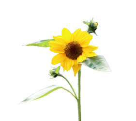 Similar image 21945674