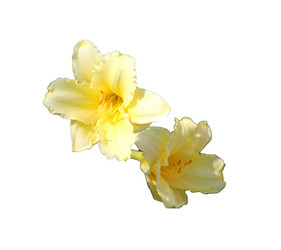 Similar image 21945676