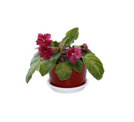 Similar image 21945677