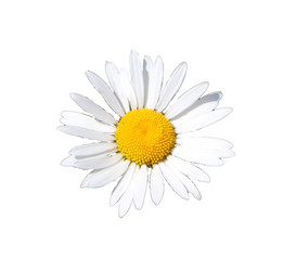 Similar image 21945678