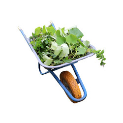 Similar image 21945680