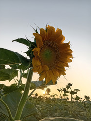 Similar image 21948341