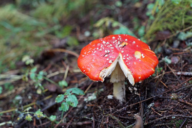 Similar image 21939401