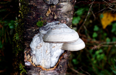 Similar image 21939402