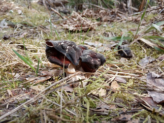 Similar image 21939403