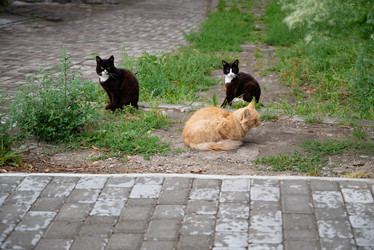 Similar image 21942406